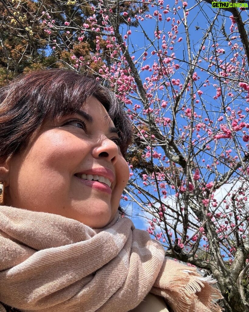 Fabiana Karla Instagram - É tempo de florescer 🌸 Nara, Japan