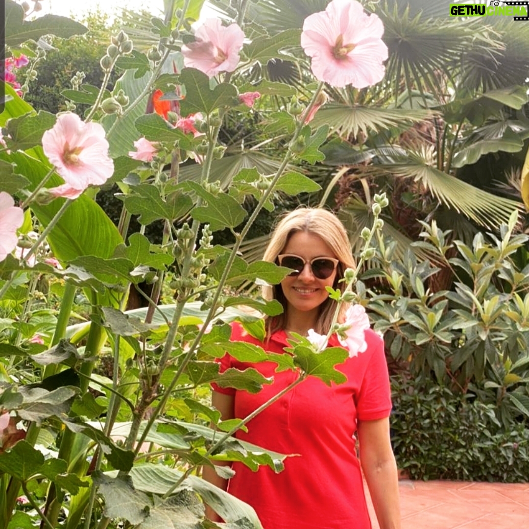 Fatima Khair Instagram - صباحكم ورد وحب وأمل في غد أفضل بإذن الله 🌹❤🤲