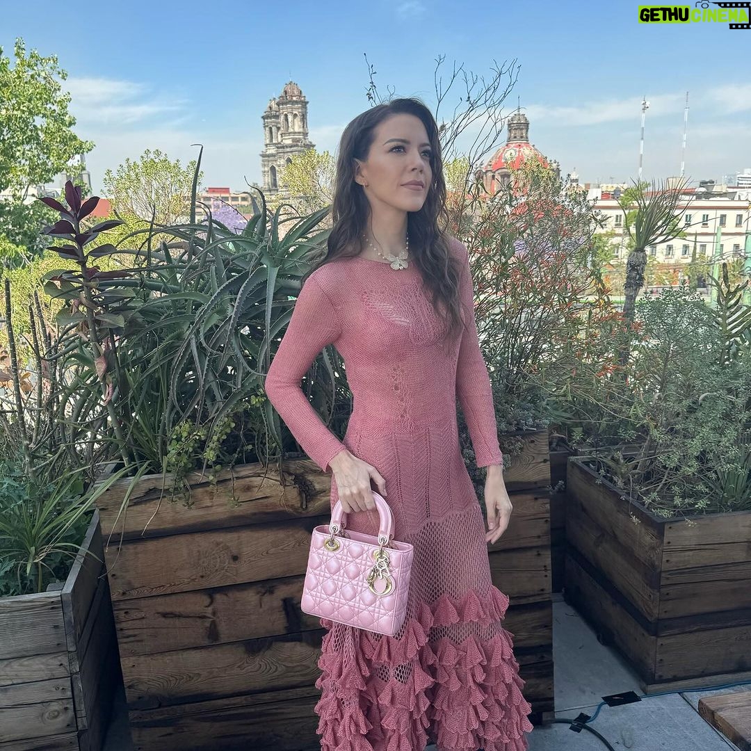 Fernanda Castillo Instagram - 🩷 @dior