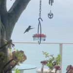 Fran Drescher Instagram - Happy New Year! May it be a healthy & sweet one! 🙏❤️☮️fran