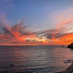 Fran Drescher Instagram – Drink in the beauty that abounds. Be grateful you are here! Problems can get solved but life itself is so ephemeral…