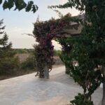 Franco Masini Instagram - Formentera y gente que quiero ❤️