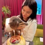 Gonca Vuslateri Instagram – Dump bizim işimiz be💫 Istanbul, Turkey