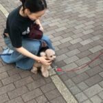 Goo Ha-ra Instagram -