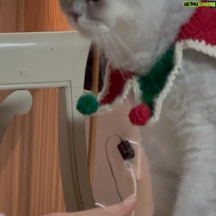 Heize - 93.9K Likes - ㅇㅏㅈㅣㄱ ㅎ ㅏㄴㅅㅣㄱㅏㄴㄴㅏㅁㅇ ㅏㅆ ㄷ ㅏ🎄