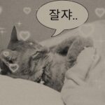 Heize Instagram - 가장 예쁜 밤 #평택대학교 💫 캔디맨 허진씨 차 타자마자 사탕 깨먹었어요 감사해요 #당충전 🤍 꽃순희 지유 서은이 넘넘 고맙고 ..🐰 기야운 강낭콩 목걸이와 여러분의 편지들 모두 제가 잘 지키겠습니다 ✨ 들어가셨죠 ? 잘 쟈요 ••• 🤍