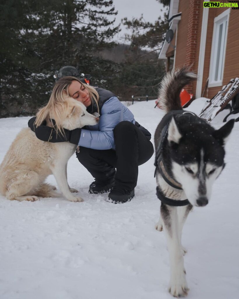 Hillary Vanderosieren Instagram - Comment aller au Canada et passer à côté des chiens de traîneau 🛷 Les chiens étaient incroyablement gentils 😍 On a passé des supers bon moments 🥰