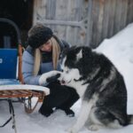 Hillary Vanderosieren Instagram - Comment aller au Canada et passer à côté des chiens de traîneau 🛷 Les chiens étaient incroyablement gentils 😍 On a passé des supers bon moments 🥰