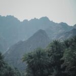 Hillary Vanderosieren Instagram - Incroyable mais vrai ! La nature existe aux Émirats arabes unis 🇦🇪🥰 UAE الإمارات العربيّة المتّحدة