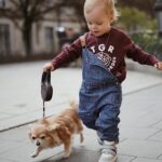 Hillary Vanderosieren Instagram - How cute 😍🐶 My little boy walking with his chihuahua 🐕 @miloetmatteo @hillaryoff