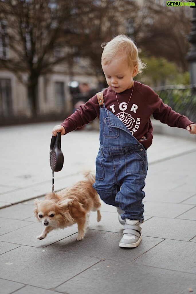 Hillary Vanderosieren Instagram - How cute 😍🐶 My little boy walking with his chihuahua 🐕 @miloetmatteo @hillaryoff