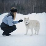 Hillary Vanderosieren Instagram - Comment aller au Canada et passer à côté des chiens de traîneau 🛷 Les chiens étaient incroyablement gentils 😍 On a passé des supers bon moments 🥰