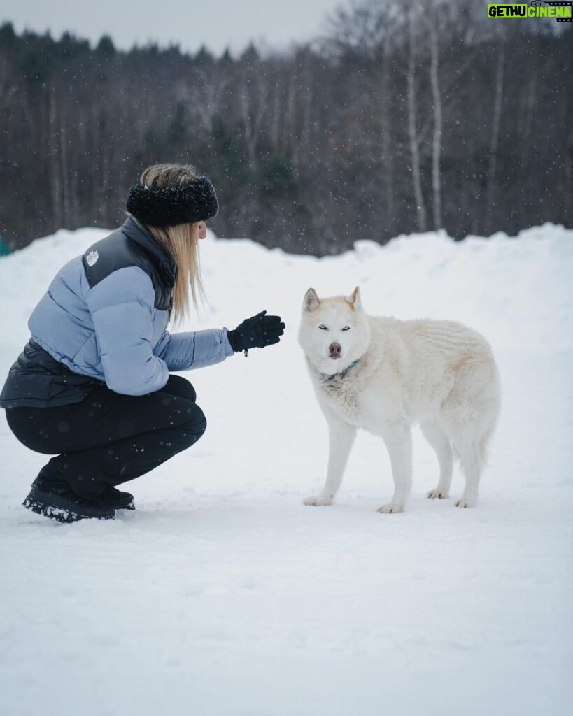 Hillary Vanderosieren Instagram - Comment aller au Canada et passer à côté des chiens de traîneau 🛷 Les chiens étaient incroyablement gentils 😍 On a passé des supers bon moments 🥰