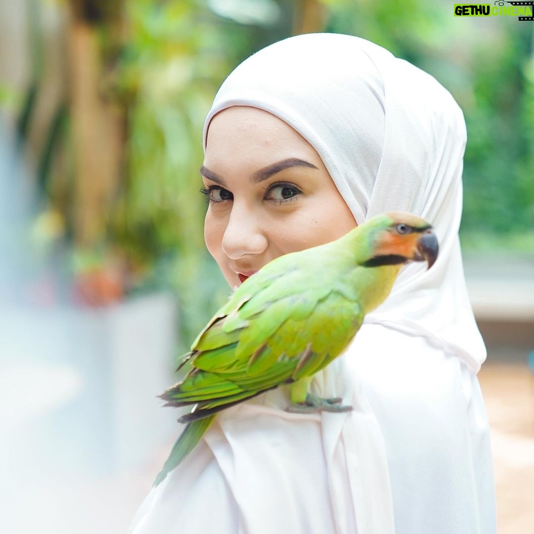 Irish Bella Instagram - Ramadhan tahun ini bersama chiko ✨🐤