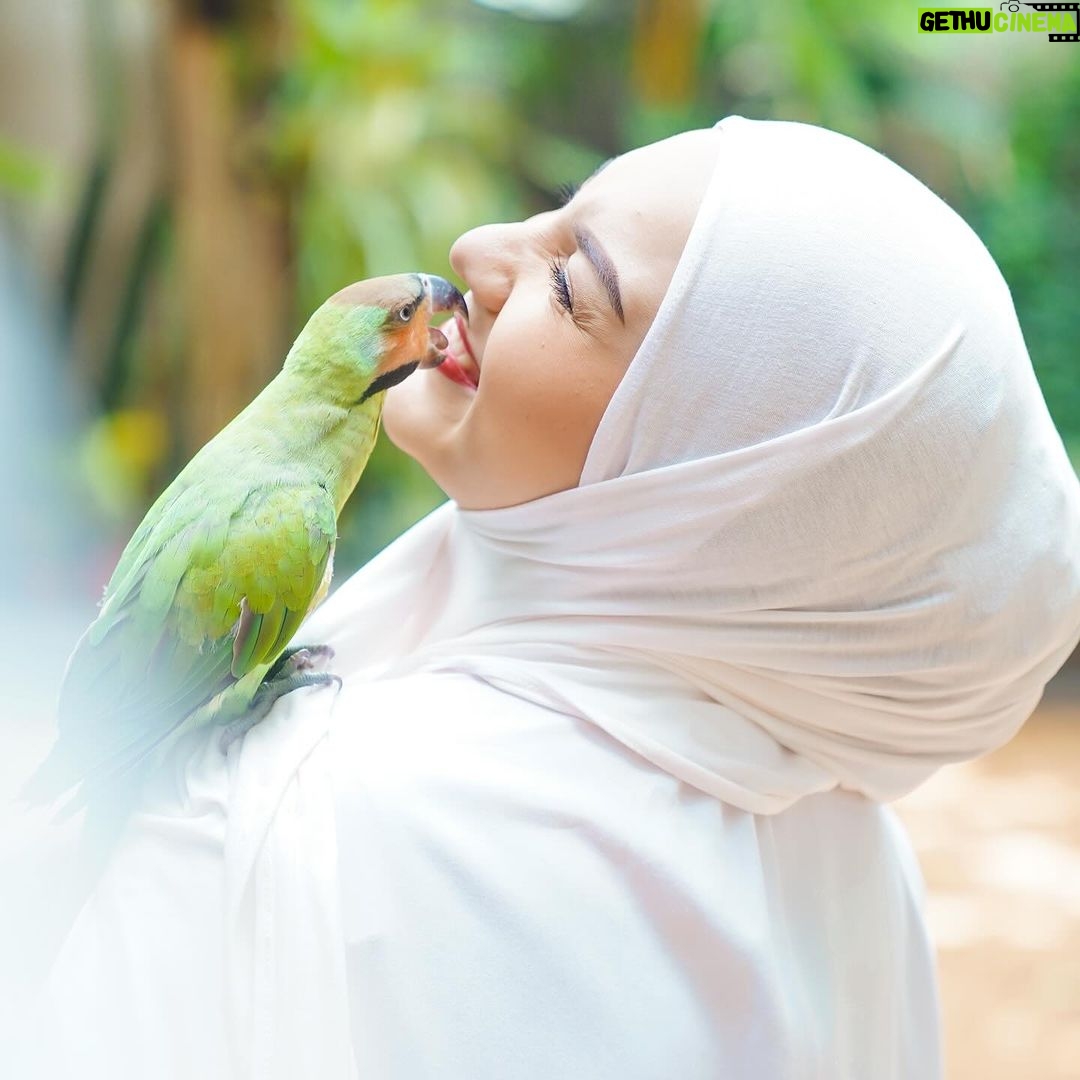 Irish Bella Instagram - Ramadhan tahun ini bersama chiko ✨🐤