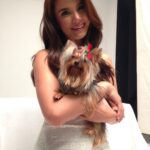 Isabel Oli Instagram - My dearest LEMON 🐶 I will miss… YOU. Calling your name. Seeing my kids carrying you. Playing your incredibly gentle paws. Your puppy smell. Your odd walk. Your lambing. Your kindness. The way you look at me when you need me. Cuddling with you. Holding you in my lap. I am extremely grateful to God for gifting you to us for the past ten years, as you have brought us nothing but happiness. Even in your final moments, you were the kind of dog who didn't want us to worry. I will never stop giving thanks to God for giving us the chance to look after you. You're in good hands now with God, my father, my sister @mirzainnewyork , Eveanne, Adan, Maria, and Snoop. 🤍🙏🏻😢 I love you so much, my LEMONEE. There is no more suffering in heaven, so run free, my littlest princess🐶👑 I love you sooooo much, Lemon🤍😢 (February 5.2013 - August 12.2023) • • • And to Cuff @johnprats, Lemonee was our first pet. It was early in the morning at the gym parking lot where you gave her to me, and I can still clearly recall how my heart melted at first seeing her. Remember, we considered naming her Lugaw, but ultimately decided on Lemon?☹️ I appreciate you gifting her to me. She only brought happiness and love. She was one of your bestest best presents to me😢 @prattydogs #PrattyDogs #TeacupYorkie #Yorkie #YorkieMom Manila, Philippines