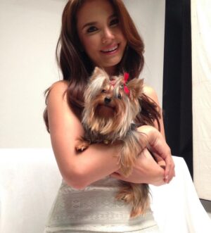 Isabel Oli Instagram - My dearest LEMON 🐶 

I will miss…

YOU. Calling your name. Seeing my kids carrying you. Playing your incredibly gentle paws. Your puppy smell. Your odd walk. Your lambing. Your kindness. The way you look at me when you need me. Cuddling with you. Holding you in my lap.

I am extremely grateful to God for gifting you to us for the past ten years, as you have brought us nothing but happiness. Even in your final moments, you were the kind of dog who didn't want us to worry. I will never stop giving thanks to God for giving us the chance to look after you.

You're in good hands now with God, my father, my sister @mirzainnewyork , Eveanne, Adan, Maria, and Snoop. 🤍🙏🏻😢 
I love you so much, my LEMONEE. There is no more suffering in heaven, so run free, my littlest princess🐶👑 

I love you sooooo much, Lemon🤍😢

(February 5.2013 - August 12.2023)
•
•
•

And to Cuff @johnprats, Lemonee was our first pet. It was early in the morning at the gym parking lot where you gave her to me, and I can still clearly recall how my heart melted at first seeing her. Remember, we considered naming her Lugaw, but ultimately decided on Lemon?☹️ I appreciate you gifting her to me. She only brought happiness and love. She was one of your bestest best presents to me😢

@prattydogs #PrattyDogs #TeacupYorkie #Yorkie #YorkieMom