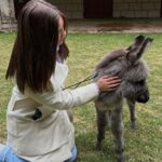 Isabella Tena Instagram - animals appreciation post ☺️💓✨🫏🐥🐎
