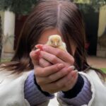 Isabella Tena Instagram - animals appreciation post ☺️💓✨🫏🐥🐎