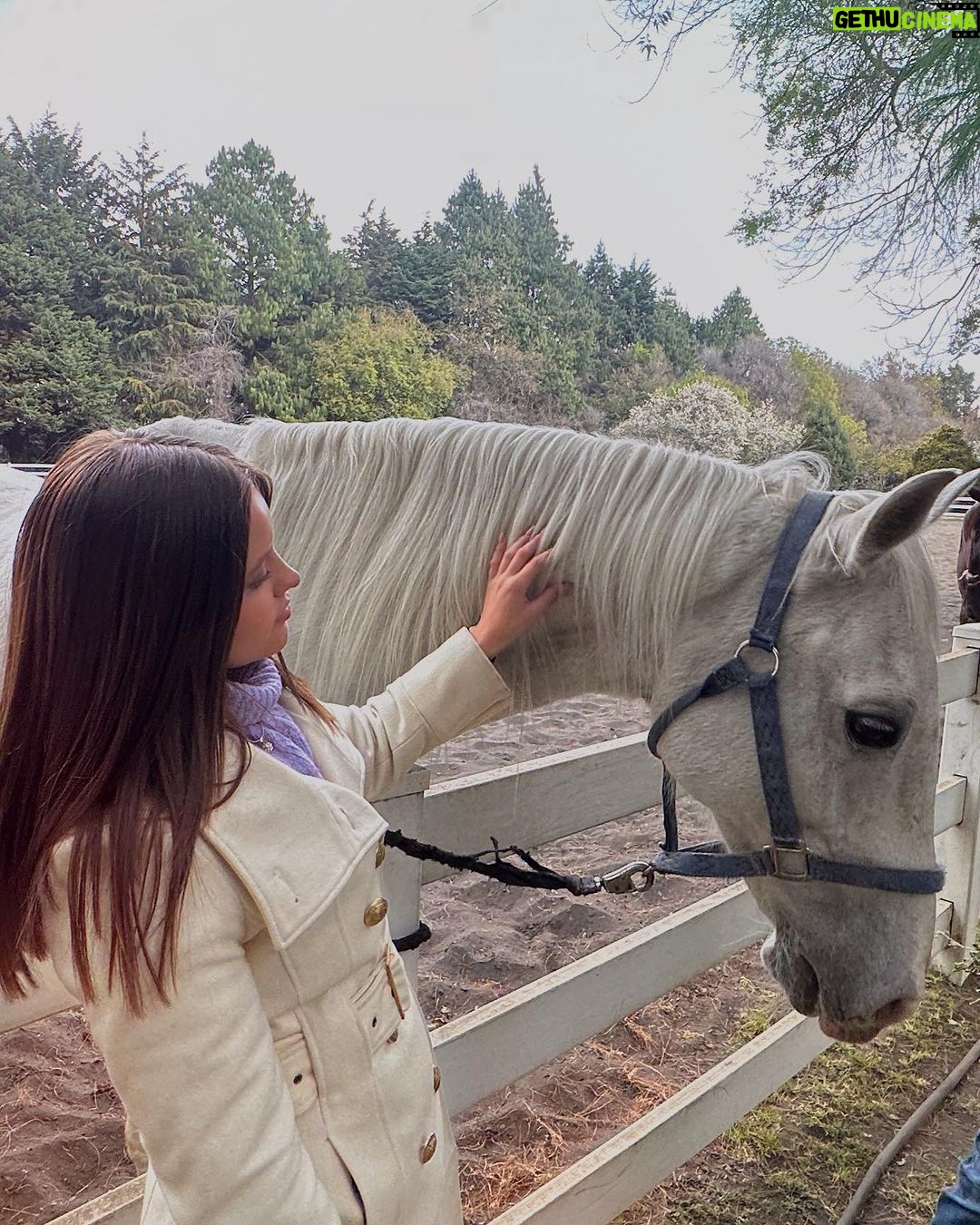 Isabella Tena Instagram - animals appreciation post βΊοΈπβ¨π«π₯π