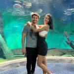 Jakelyne Oliveira Instagram - Turistando em família @bioparquepantanaloficial 🍃🐊🐢 #CampoGrande #MS Campo Grande, Brazil
