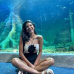 Jakelyne Oliveira Instagram - Turistando em família @bioparquepantanaloficial 🍃🐊🐢 #CampoGrande #MS Campo Grande, Brazil