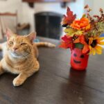 Jenna Fischer Instagram - It’s October!! Time for seasonal decorations and warm food in the crock pot…like maybe some Seriously Good Chili courtesy of @bbbaumgartner 👩‍🍳 My daughter made that vase and I filled it with fake flowers. We decorated this weekend together…head to stories to see how we did! 🎃