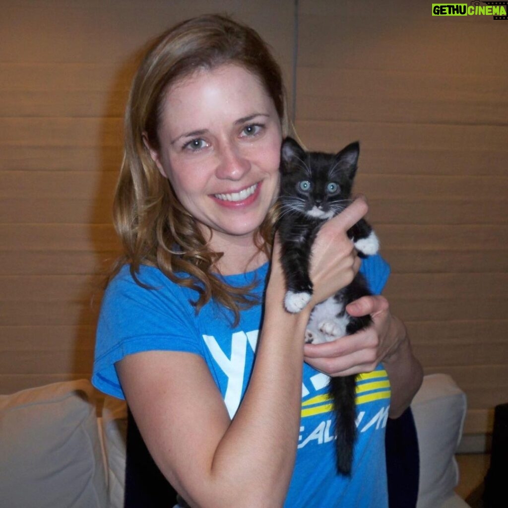 Jenna Fischer Instagram - It’s kitten season! Here I am with Dunder…a kitten I fostered and found a home for with the help of @kittenrescuela I was a kitten foster for 3 years and it was incredibly rewarding. Every year, thousands of kittens arrive at our nation’s animal shelters, and you can help ensure every life is saved. By fostering a kitten (or two), you’re providing them with a chance to grow up and find families of their very own. Sign up to foster today at the link in my bio. Or go to: @bestfriendsanimalsociety