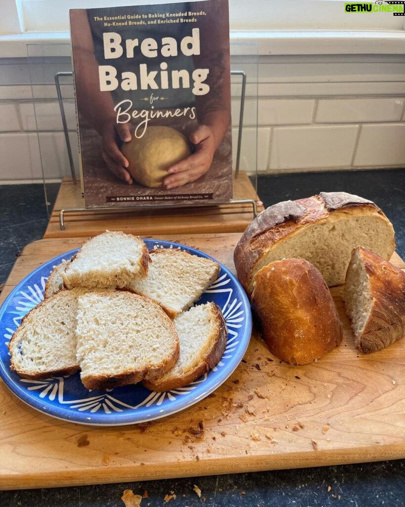 Jenna Fischer Instagram - It turned out perfect! I’ve avoided making bread since I went gluten free 9 months ago because I was afraid it would feel torturous to spend hours making bread I couldn’t eat. But I’d forgotten how therapeutic the MAKING can be. And watching my family enjoy it was joyous. There will be more bread in our future! (I ate a bite…it was so gooooood!!)