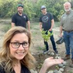 Jenna Fischer Instagram - Citrus experts Roger and Alex stopped by to check on our little @sumocitrus and good news…it’s doing great!! They said we might have some tiny fruits next year! 🍊