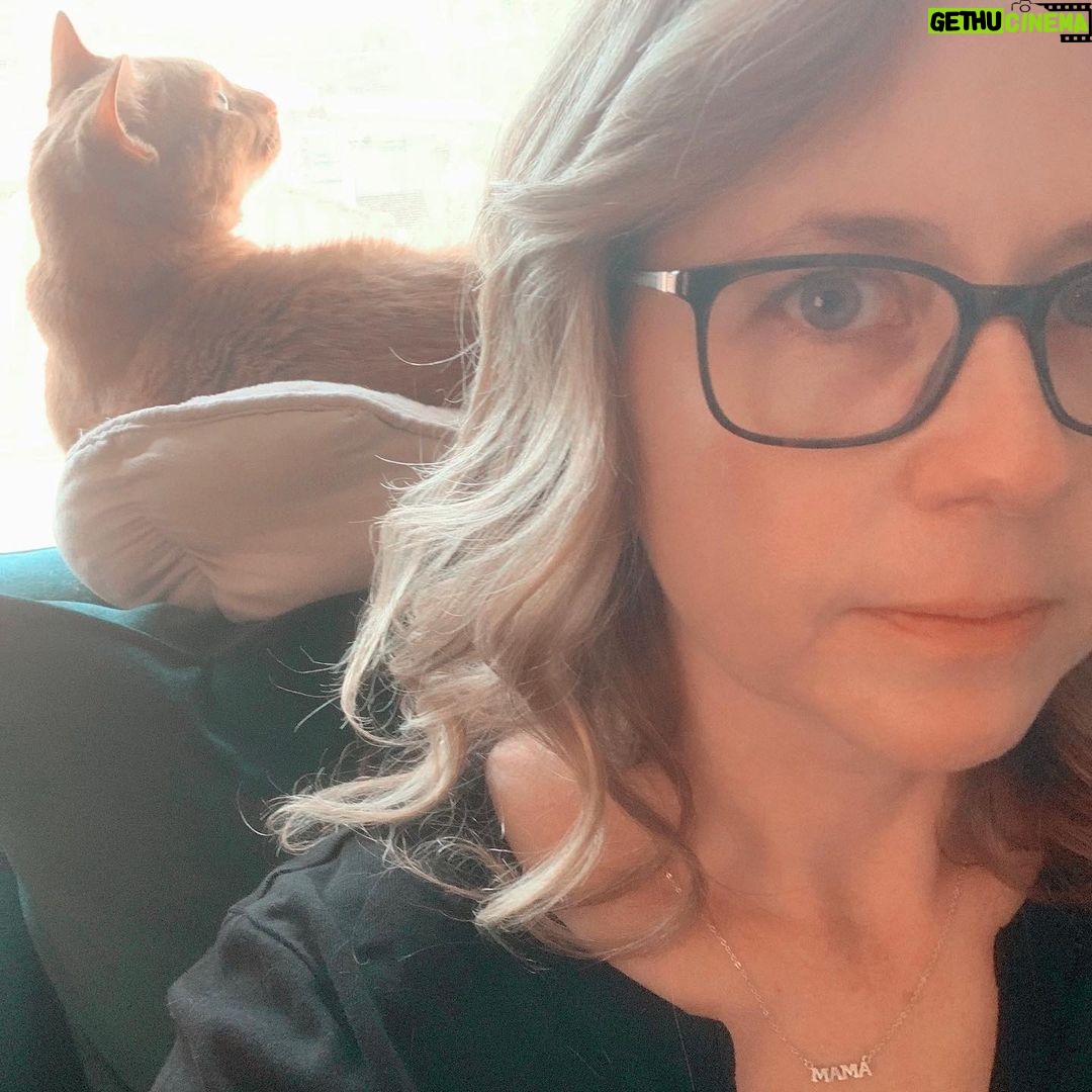 Jenna Fischer Instagram - Starting #caturday early this week. @mrsonnycat