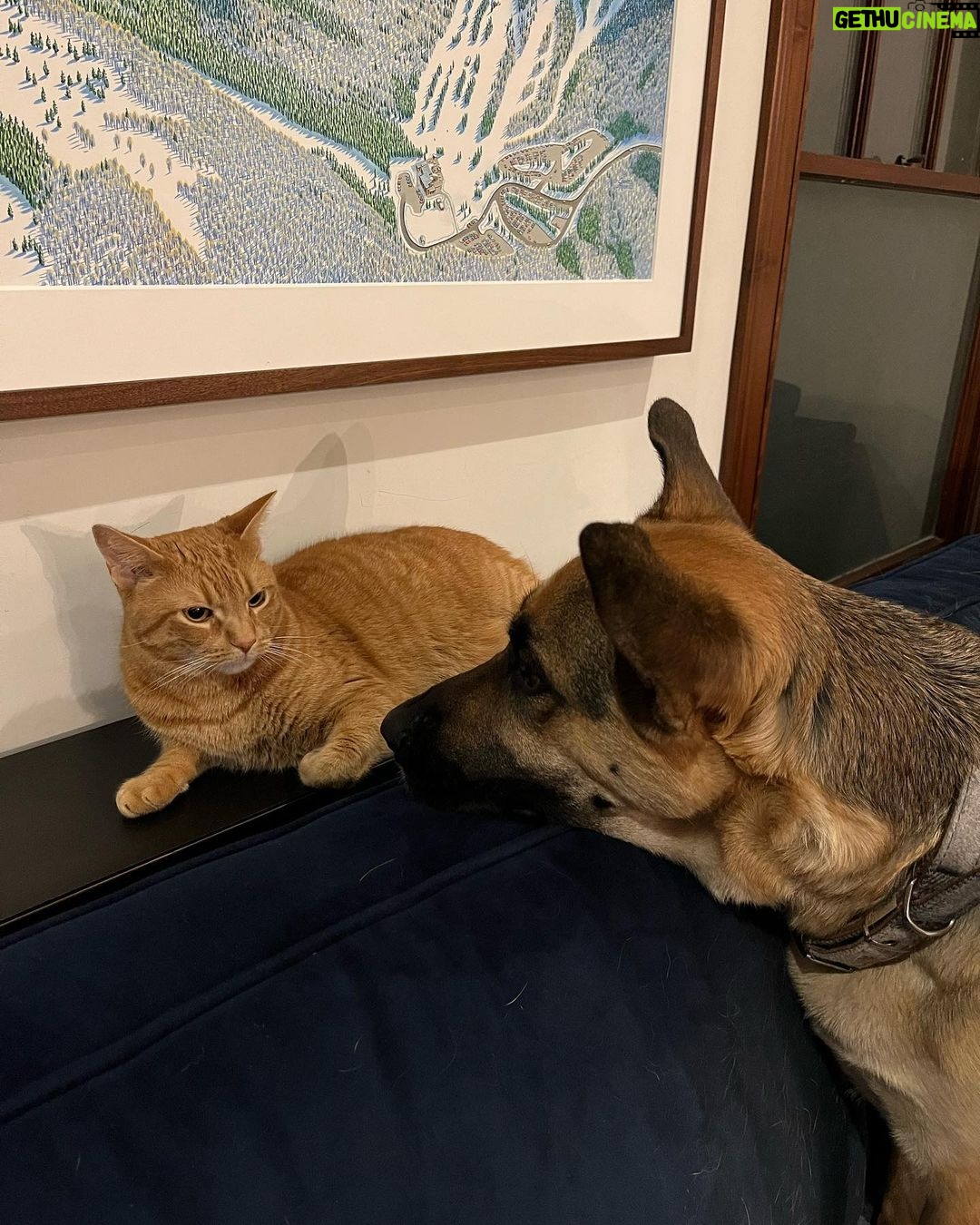 Jenna Fischer Instagram - Caption this photo.