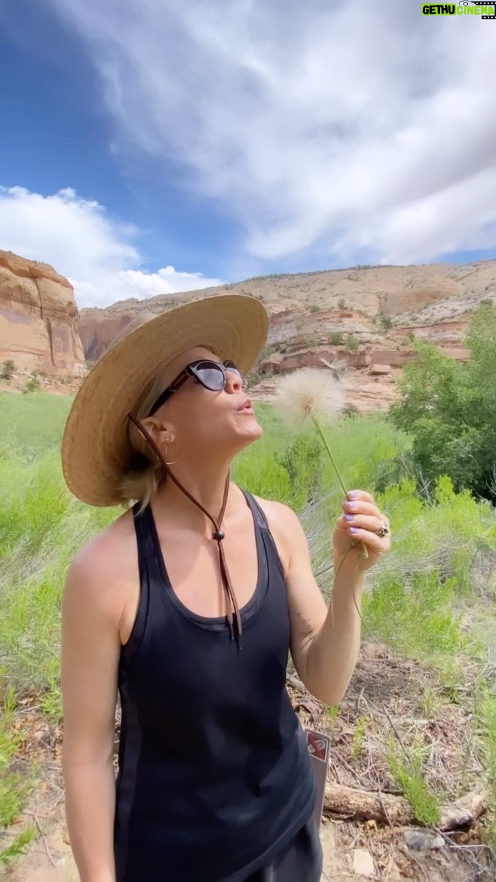 Jennie Garth Instagram - I title this one: “Hard work will pay off” Just keep blowing🎶Just keep blowing 🎶. You know, like Dory in NEMO. Oh wait. That was swimming 🤣🙋🏼♀️🤦🏼♀️ My point is in life, all we can do is keep trying. Then try harder. If we want something, we have to put in the effort. No matter what it is. A relationship. A career. A healthier body. But we have to put effort into our mental health too. Don’t forget about you. Today, do something for yourself! Eat healthy, go for a little walk, or stare out the window at the birds. Choose you! 👊🏻❤️#ichooseme #mentalhealth #selflove #persistence #strength #love #me
