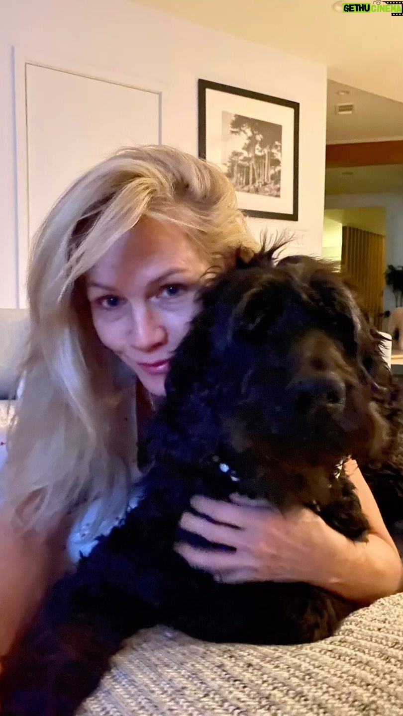 Jennie Garth Instagram - Doggie appreciation post!🐕🦺 I love her so much I can’t even explain it🖤 #pearl