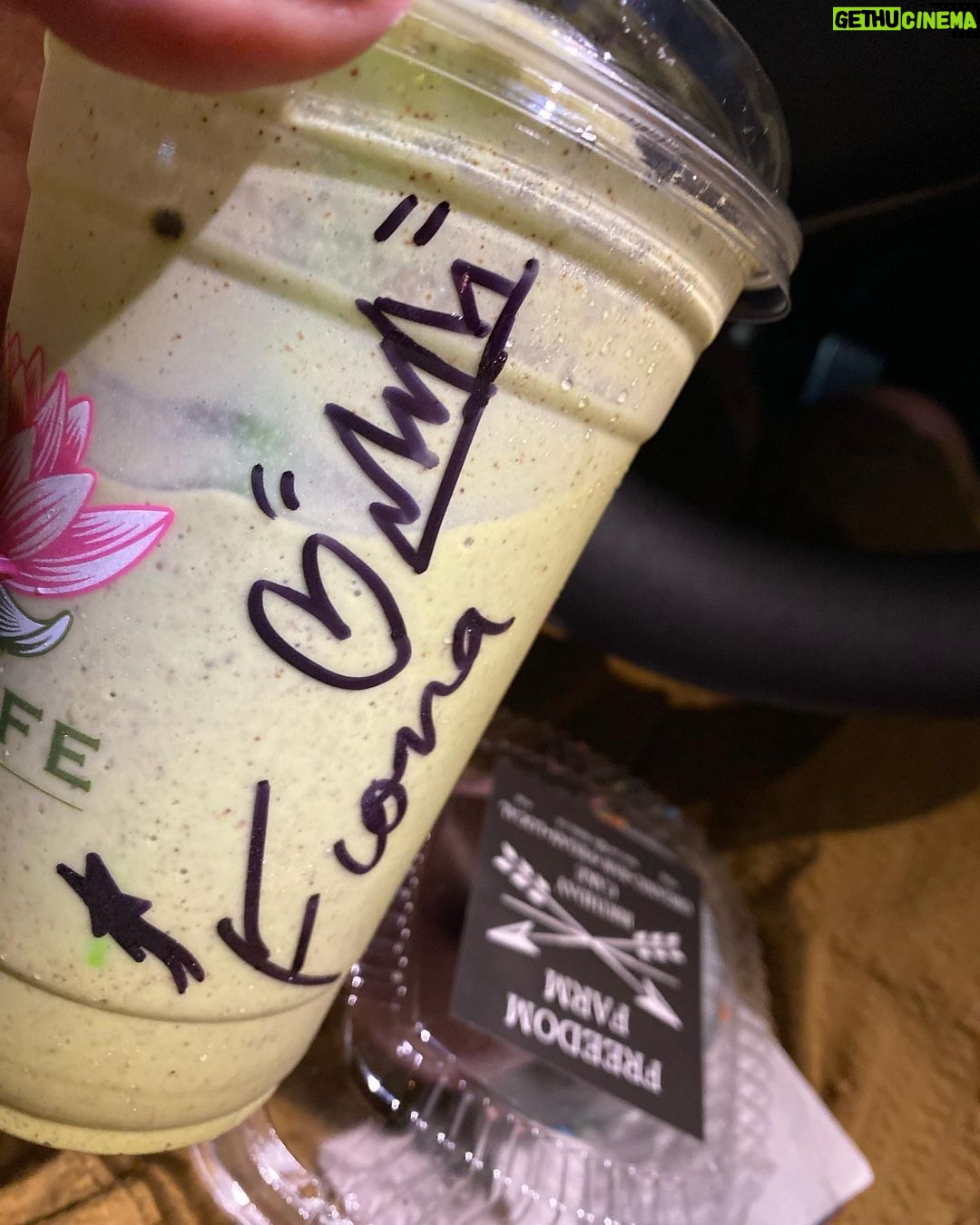 Jennie Garth Instagram - My weekly obsessions & lessons: 1. @raylolaray & Dr. Fauci aka: Taco, love to love. 2. Presence is a choice. Make it a priority 💕 @lucabellabella 3. @fionaeveee introduced me to @sunlifeorganics ! It’s ok to have two smoothies in one day. 4. Seeing others happy is all that matters @mrwhallace @raylolaray @gabebregman 5. Knowing that they’ll always have each other. 6. Love heals. 7. Fate will find you. 8. Family first. 9. Put your all into everything you do!