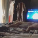 Jennifer Coolidge Instagram -