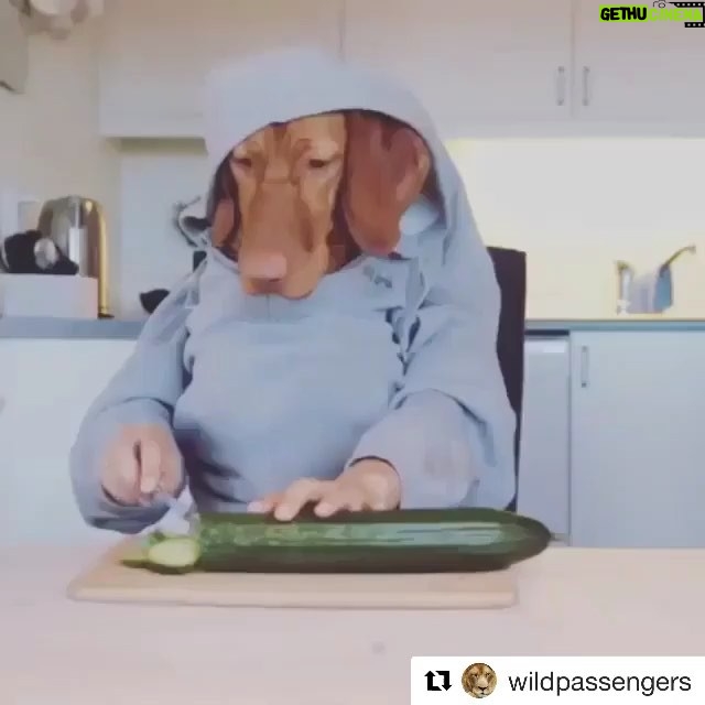 Jennifer Coolidge Instagram - I don’t know why I’m always this hungry.