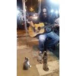 Jennifer Coolidge Instagram - I think this guy is kind of charming but these kittens think he is really good!!!