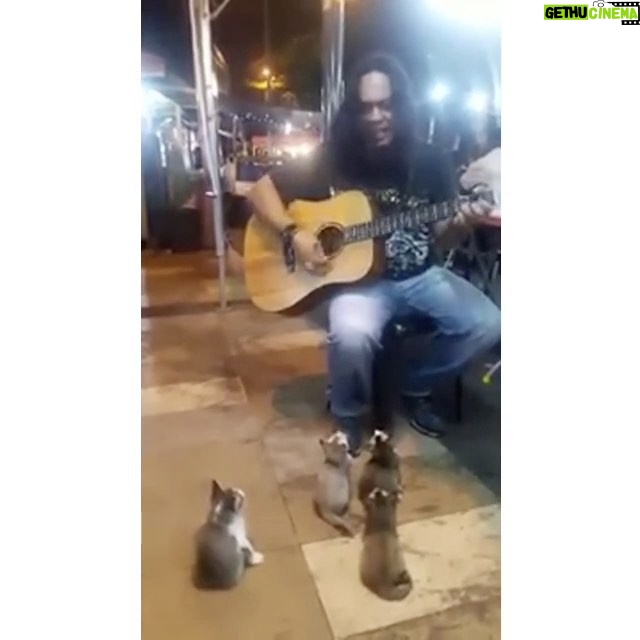 Jennifer Coolidge Instagram - I think this guy is kind of charming but these kittens think he is really good!!!