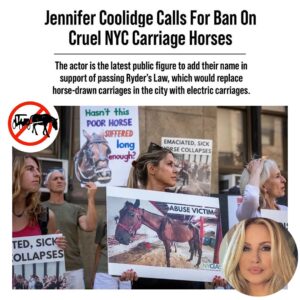 Jennifer Coolidge Instagram - Today is the day I was asked to repost my post from a couple of weeks ago by some groups of animal / horse lovers (NYC) (Philly) that saw it. Here it is again!!

“Too many accidents involving carriage horses in city environments, being vulnerable in city traffic / pollution, overheating and some horses like Ryder even dying on the pavement in the middle of Manhattan on the hottest day. (google “Ryder’s Law”)

We need to be more progressive and have more empathy for carriage horses now that we are in the 2Ist century!! We owe it to all the suffering animals who shouldnt have had pay with their lives. Many have suggested electric carriages - so coachmen could stay employed. Yes!! Sure!! Let’s consider the many options that don’t involve animals at all!! 💔💔🙏🙏❤️❤️”

- - - - - - - - - - - - - - -

📢 TAKE ACTION: Make a quick call today to Council Speaker @nycspeakeradams at 718 206-2068 or 212-482-6731 and politely ask her to pass legislation  to remove cruel and dangerous horse carriages.