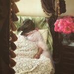 Jennifer Coolidge Instagram - Can't get out of bed today. Cocktails are overrated #reevaluatingmylife