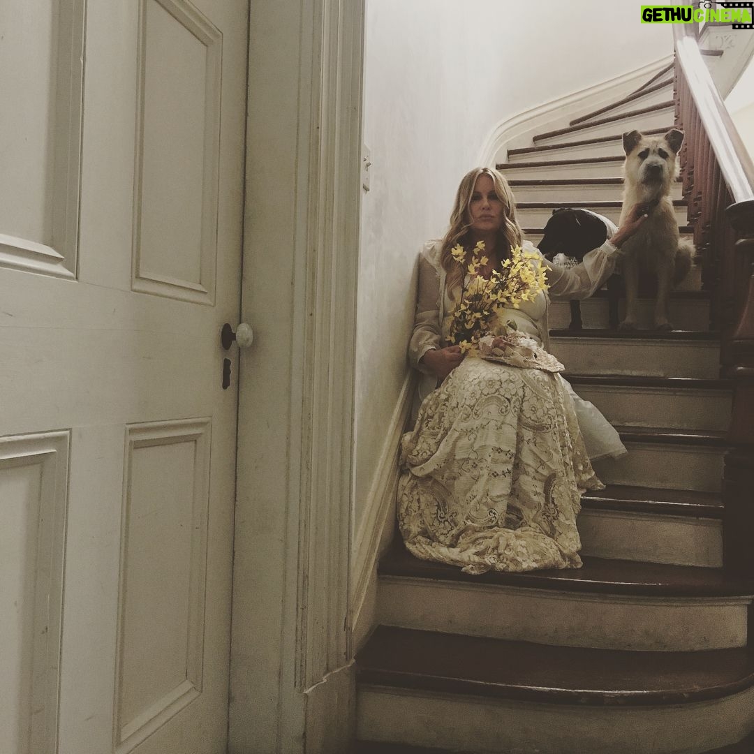 Jennifer Coolidge Instagram - My dogs wouldn't wear the bonnets but Sophia Coppola won best director at Cannes for this movie -- if you go you will see why #thebeguiled @beguiledmovie