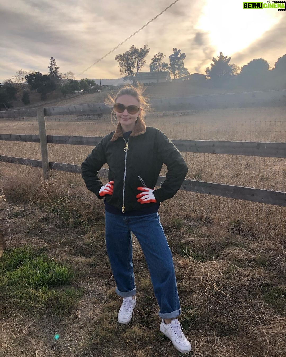 Jessica Barden Instagram - Trying to make Barbour jackets work in California 💅🏼 thank you @alexachungstagram