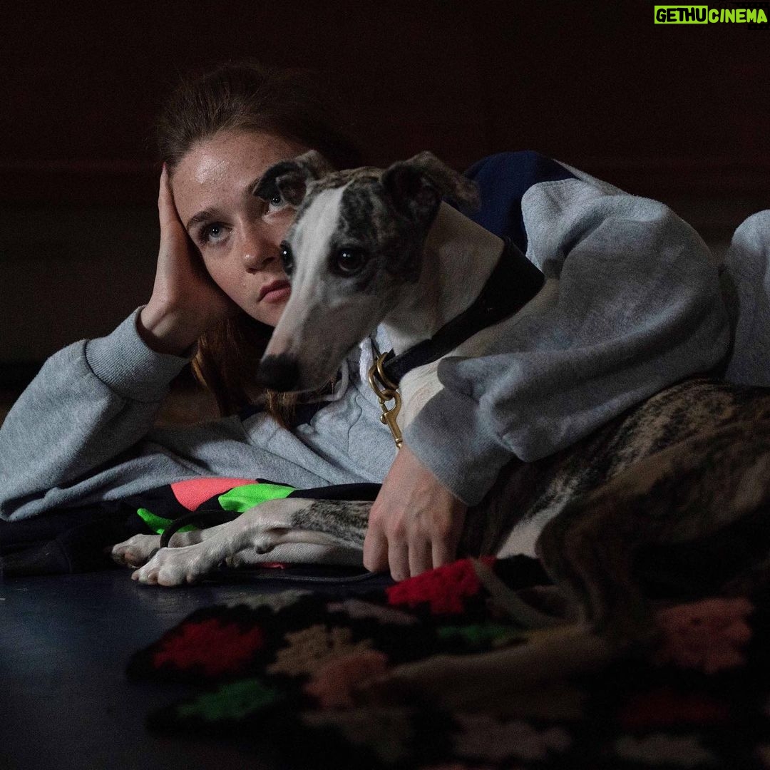Jessica Barden Instagram - Friends in the UK you can now watch Jungleland on @primevideouk and iTunes 🩰🥊 thank you for all the support for this movie so far it has been so appreciated thank you! #wileythewhippet