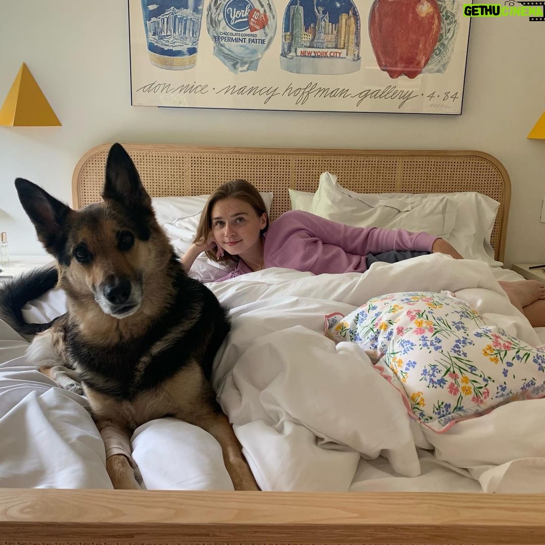 Jessica Barden Instagram - Just me and Hamlet the 3 legged dog who has PTSD (from the 3 legs) and anxiety (from the 3 legs) that I love so much and who supports me in ways I think he does know because he is the smartest creature I know, through all my journey figuring out my life with anxiety and depression (from the anxiety lol if you know you know💋) Being afraid of leaving your house is an insane feeling 🤷🏻♀️ having a mental illness is at times embarrassing, always frightening and you always have to second guess yourself which is tiring. If you suffer with mental illness you are so brave, you are a survivor which is an excellent skill to have in life and I hope that one day we get to trust ALL the voices in our head. #worldmentalhealthday
