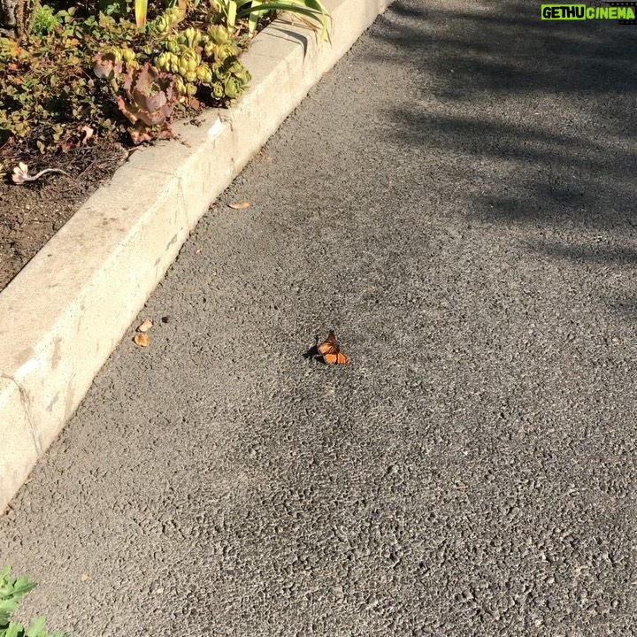 Jessica Barden Instagram - Just in nature 🕷🦦🕊🤫
