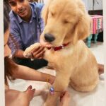 Jigyasa Singh Instagram – Rakhi 2023 with my boys ! ♥️🧿🫶🏻👫🐶