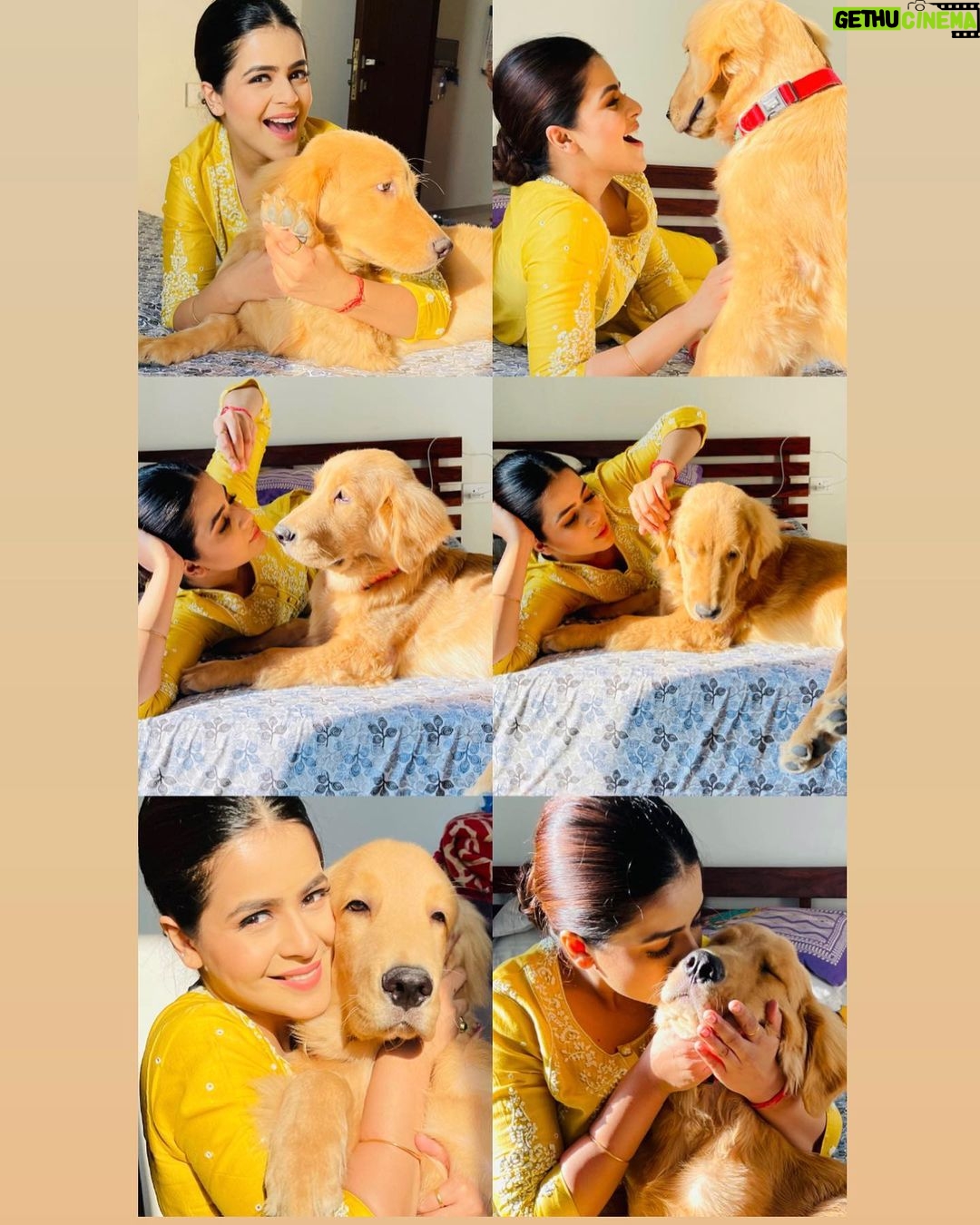 Jigyasa Singh Instagram - She can't resist my puppy dog eyes 🐶🐾♥️