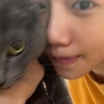 Jo Yu-ri Instagram - 🙀meow🙀