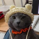 Jo Yu-ri Instagram - 🙀meow🙀